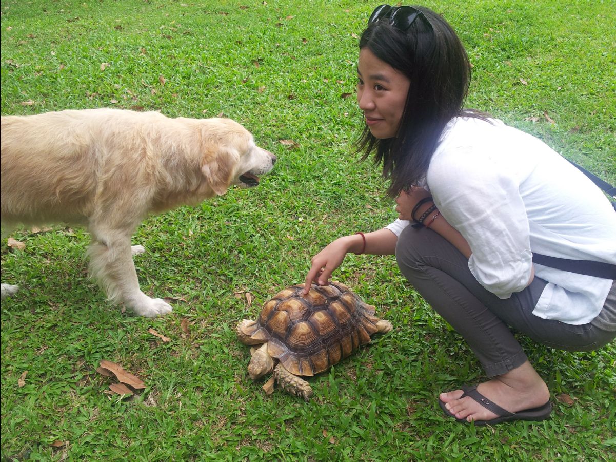 20100715Organic Farm09